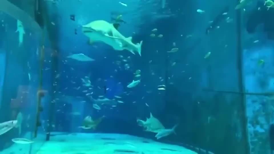 超黄金街霸3